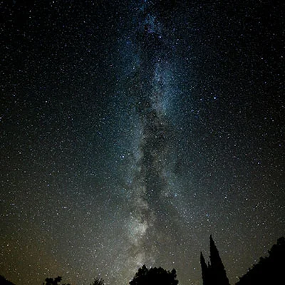 1月14日|22.9M/S，SSR节点/V2ray节点/Clash节点/Shadowrocket节点|免费订阅机场BifrostV免费梯子